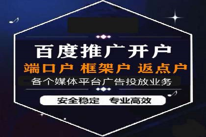 谷歌竞价广告在电商行业的运用案例